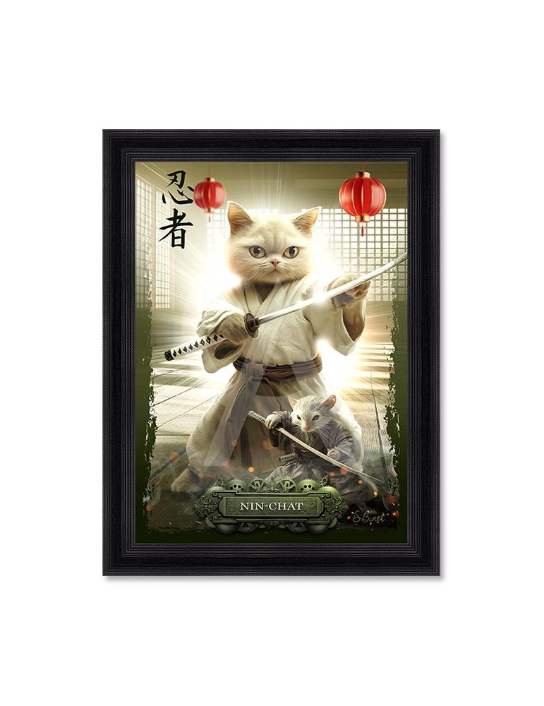 Nin-Chat - Binet Nin-Chat - Binet