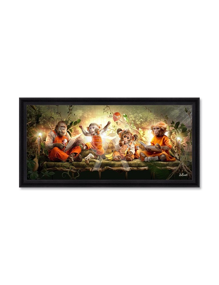 Pano Singes - Binet Pano Singes - Binet