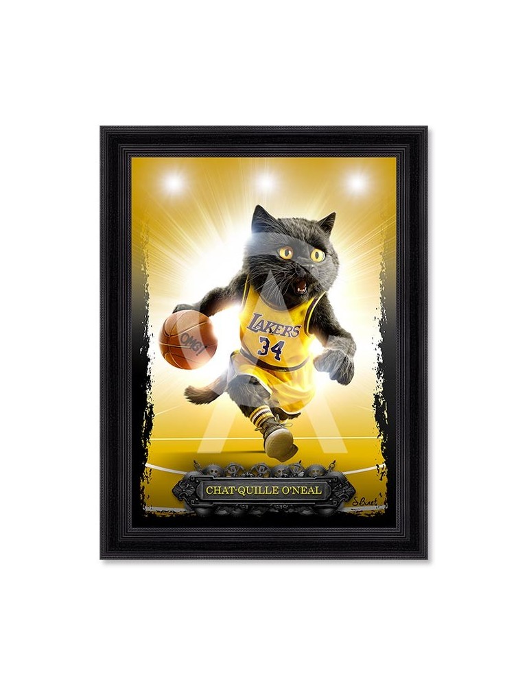 Chat-quille O'Neal - Binet Chat-quille O'Neal - Binet