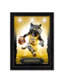 Chat-quille O'Neal - Binet