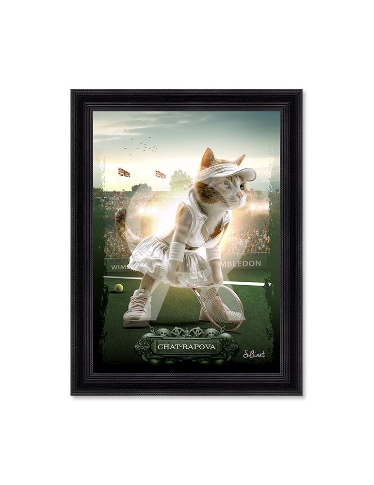 Chat-rapova - Binet Chat-rapova - Binet