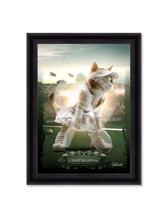 Chat-rapova - Binet Chat-rapova - Binet