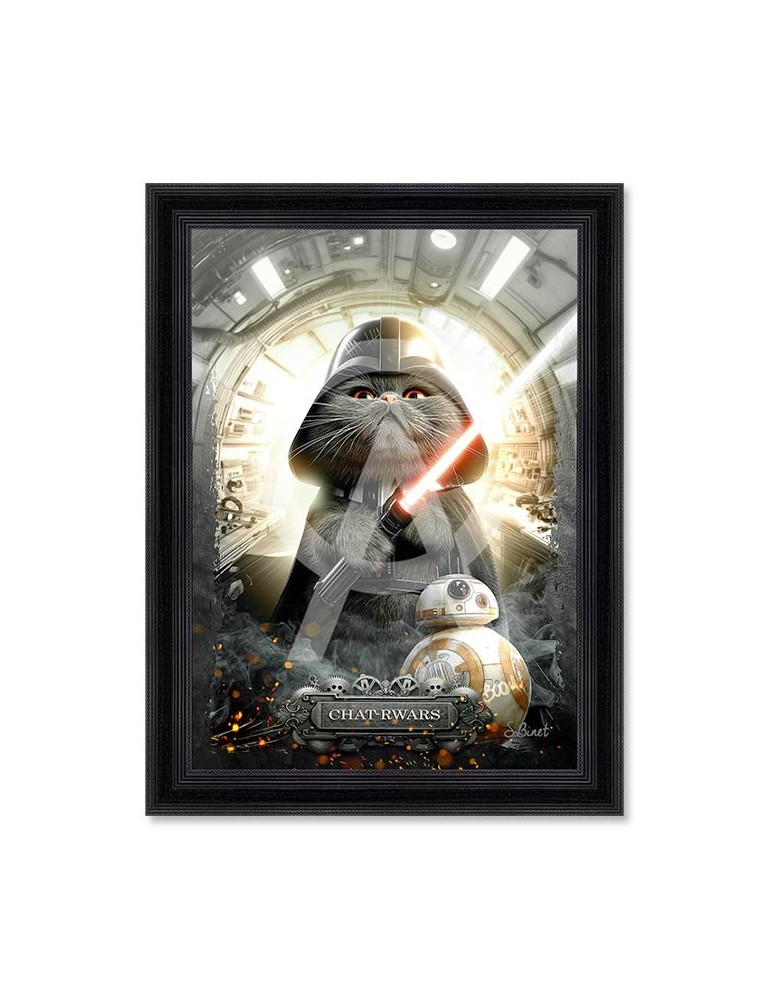 Chat-rwars - Binet Chat-rwars - Binet