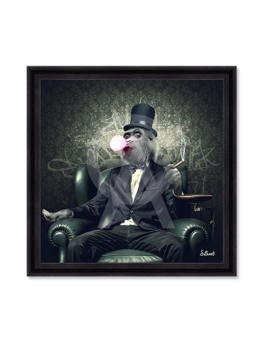 Singe Chewing-gum – Sylvain Binet