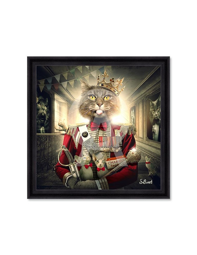 Chatribo – Sylvain Binet Chatribo – Sylvain Binet