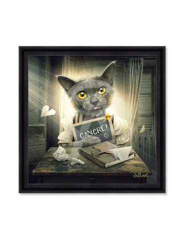 Chat cancre – Sylvain Binet