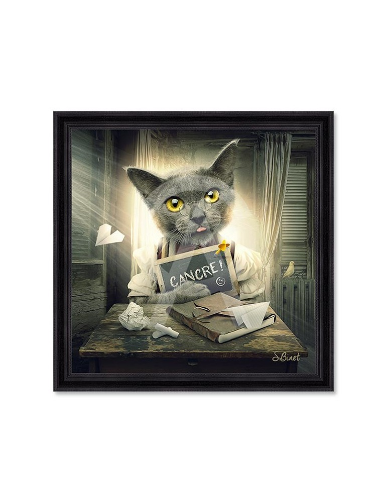 Chat cancre – Sylvain Binet Chat cancre – Sylvain Binet
