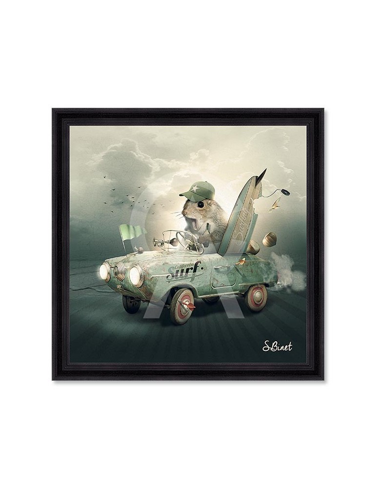 Surf – Sylvain Binet