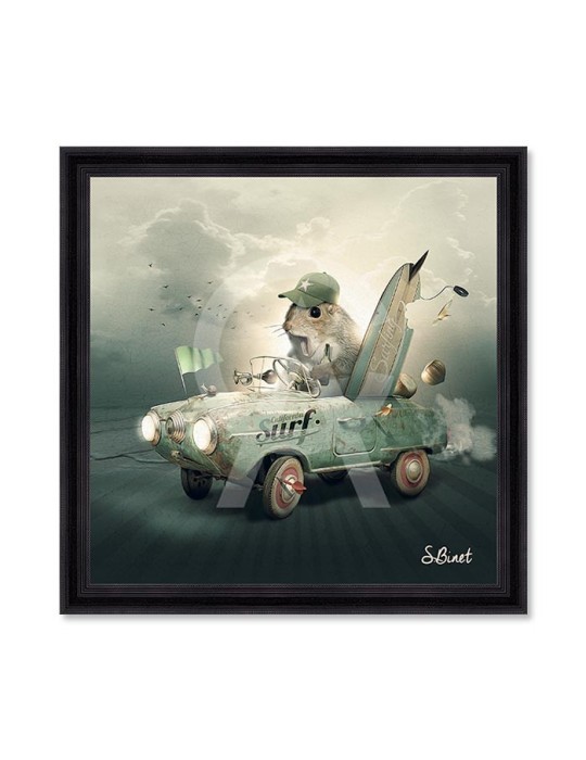 Surf – Sylvain Binet