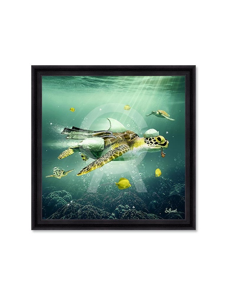 Tortue – Sylvain Binet