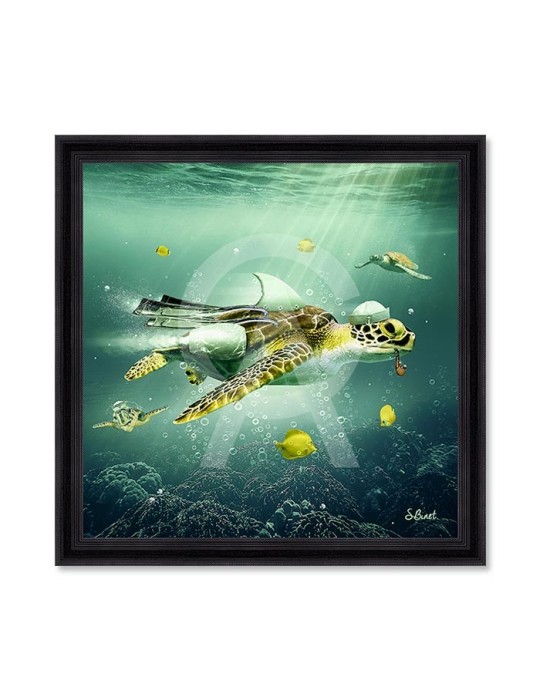 Tortue – Sylvain Binet