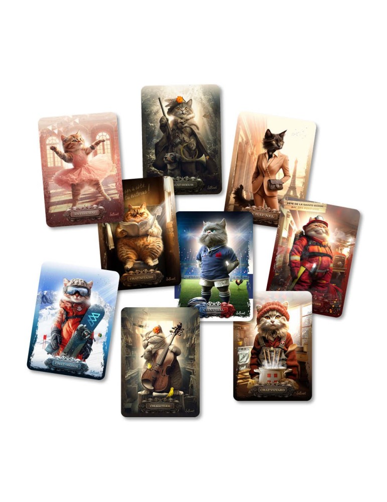 Réassort Binet Chats 20x28cm