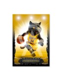 Chat-Quille O’Neal