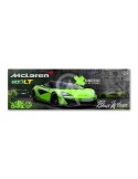 LT600 Green Art