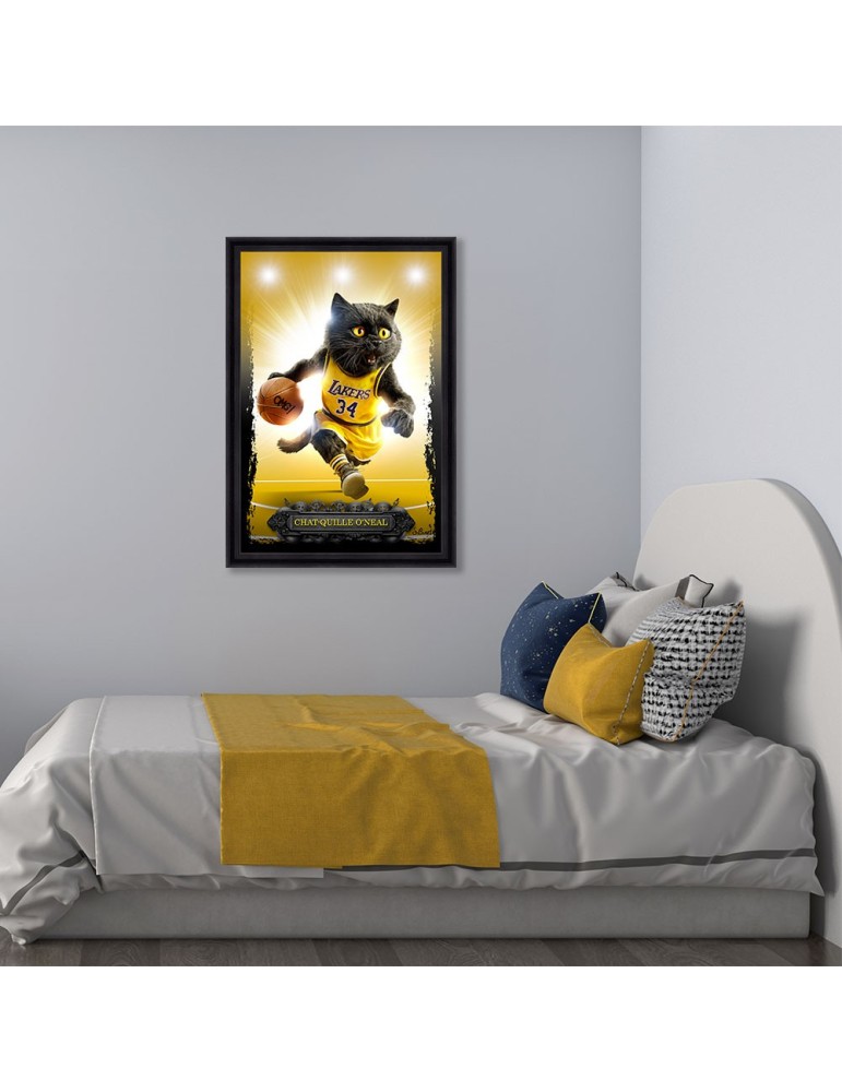 Chat-quille O'Neal - Sylvain Binet