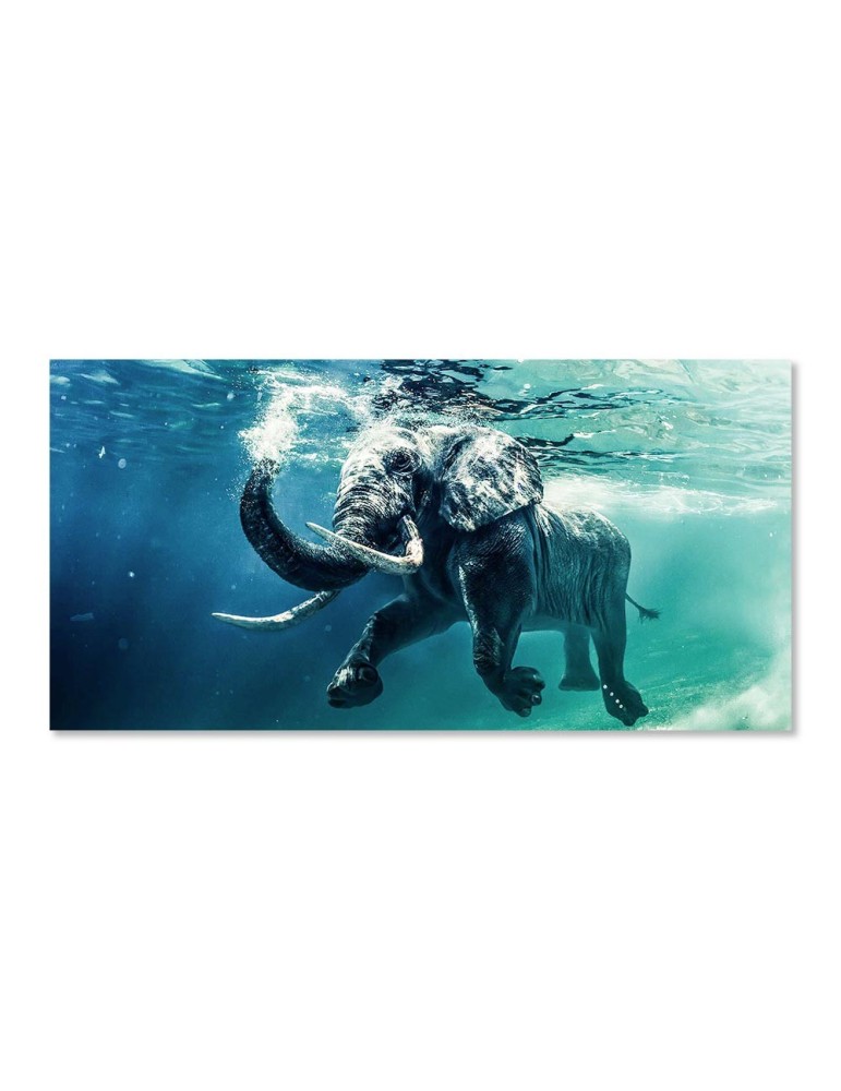 Impression sur Verre - 44.194