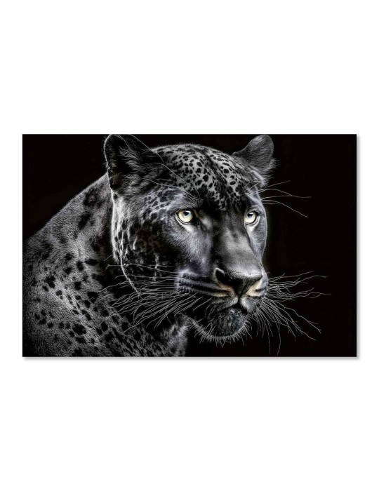 Impression sur Verre - 44.205