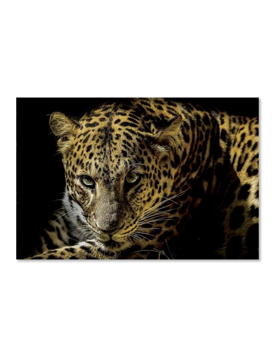 Impression sur Verre - 44.211