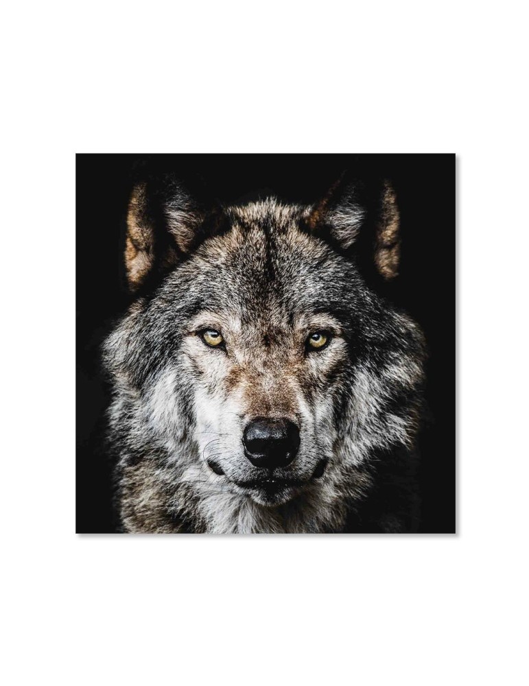 Impression sur Verre - 44.213