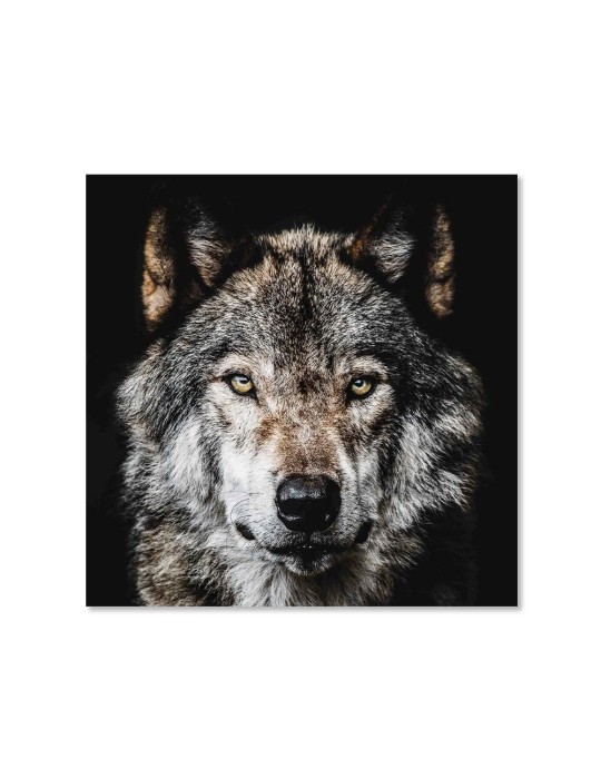 Impression sur Verre - 44.213