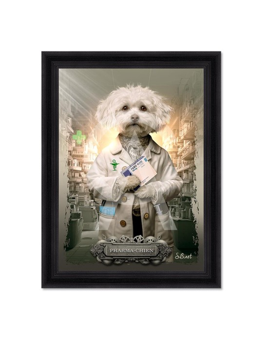 Pharma-Chien - Sylvain Binet