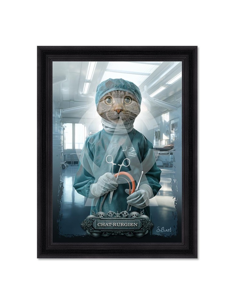 Chat-rurgien - Sylvain Binet