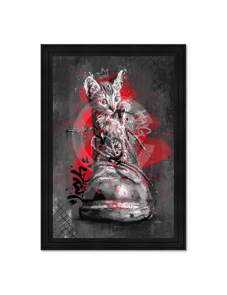 Le chaton dans la chaussure - Romaric