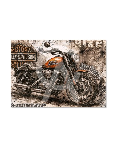 Harley JD Biker