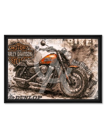 Harley JD Biker - Rubix