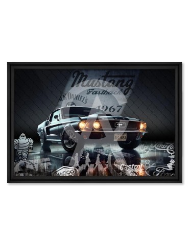 Mustang Jack Daniel 1967 - Rubix