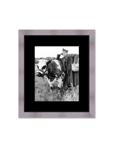 La vache et le prisonnier – Cinéma – image encadrée