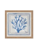 Tableau CAL-26023G2 - Orya