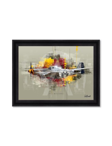 P51 Mustang – Sylvain Binet