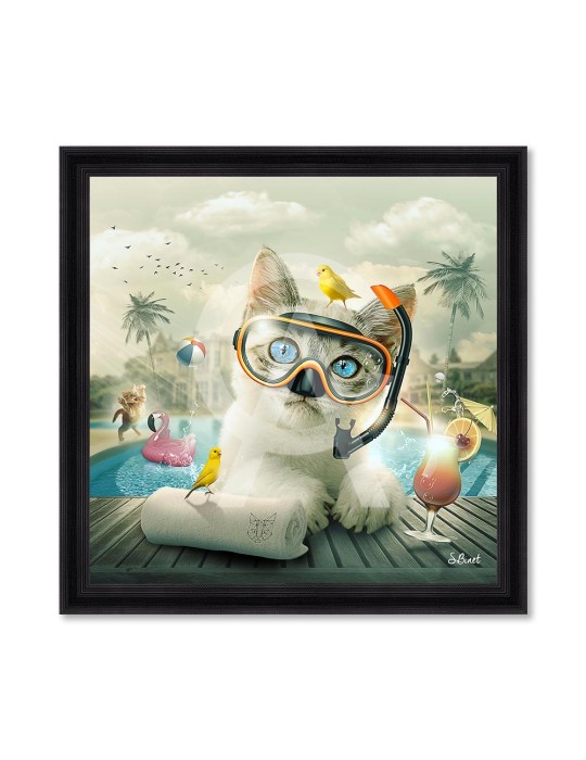 Chat piscine - Sylvain Binet