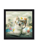 Chat piscine - Sylvain Binet