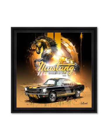 Mustang 1966 Shelby GT350 - Sylvain Binet