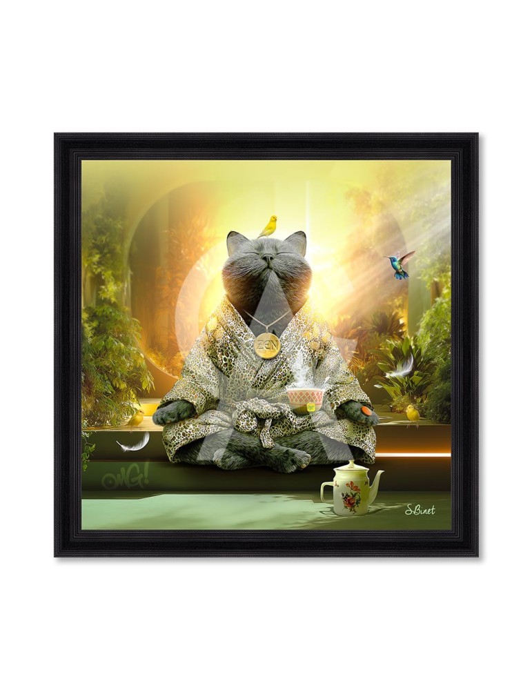 Chat Yoga - Sylvain Binet