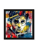 Harry Potter - Seleste