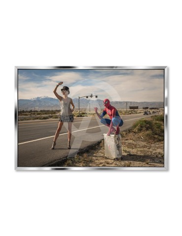 LA Curlers And Spider 7 - Nicolas Bets