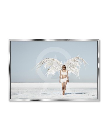 Wild Angel 2 color - Nicolas Bets