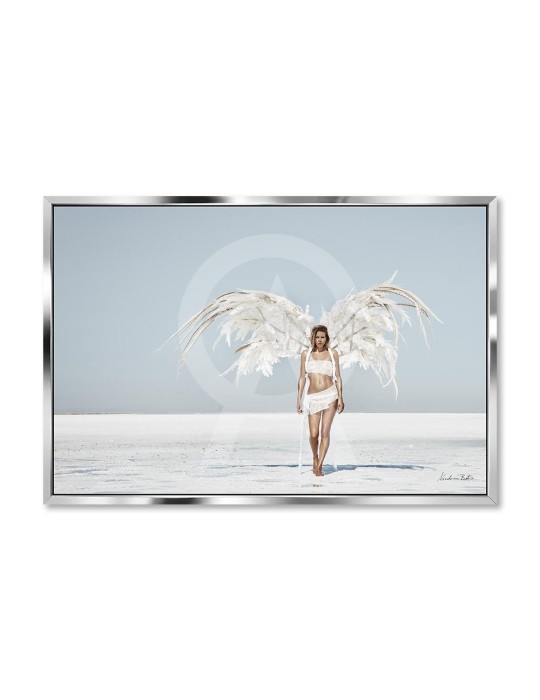 Wild Angel 2 color - Nicolas Bets