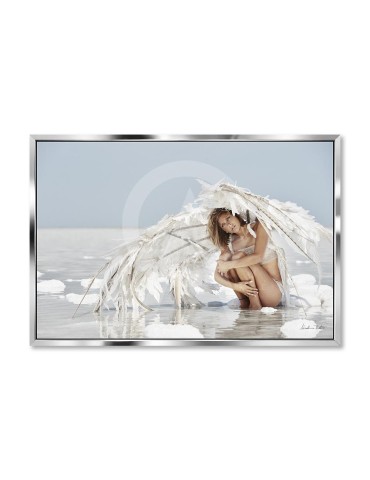Wild Angel 5 color - Nicolas Bets