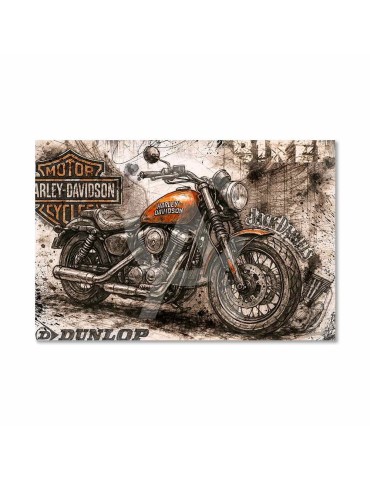 Tapis Harley JD Biker – Rubix
