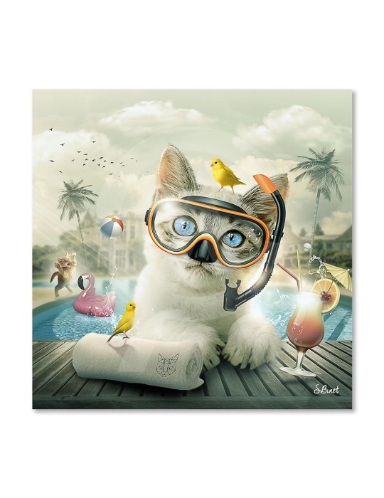 Chat piscine