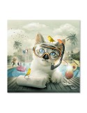 Chat piscine