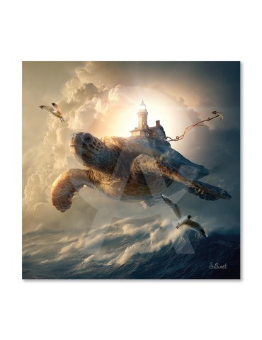 Tortue phare