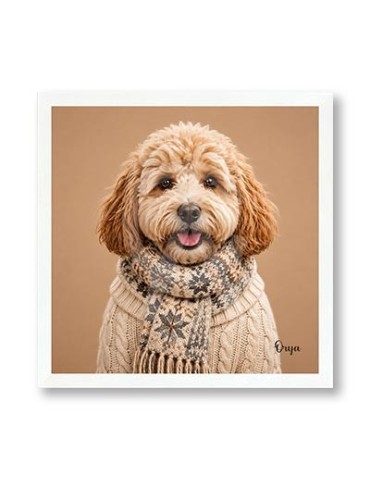 Tableau JOC-A26022 - Orya