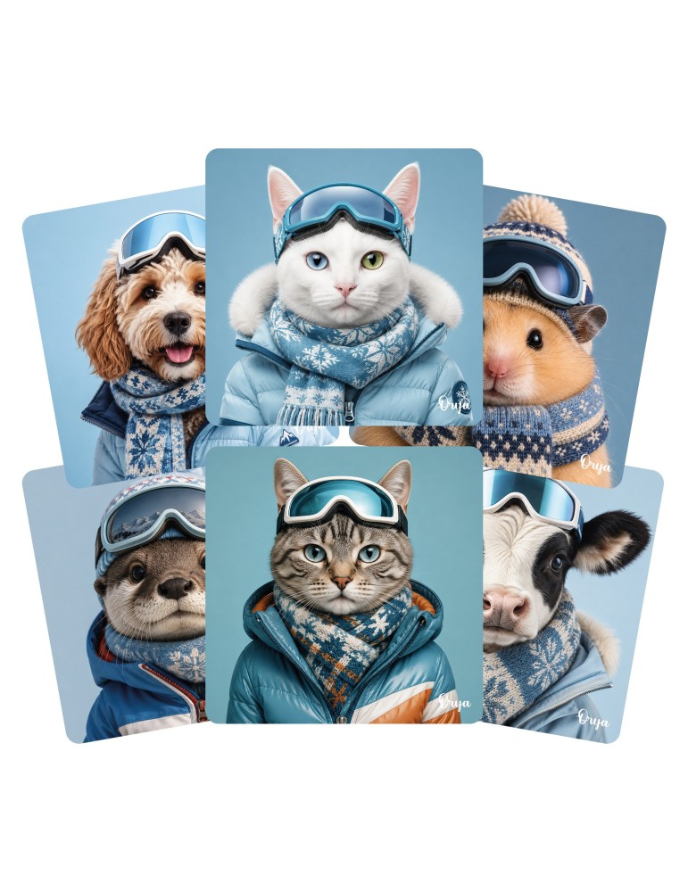 Lot de 6 sous-verres - Orya - collection Ski