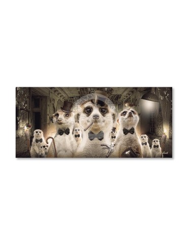 Suricates