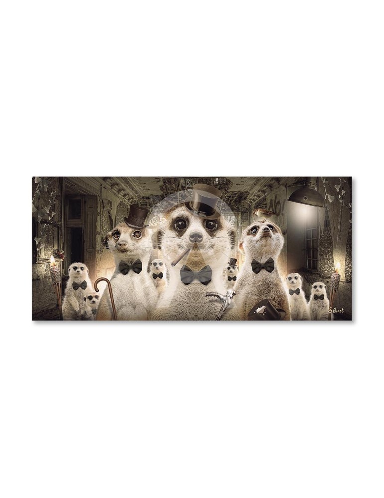 Suricates